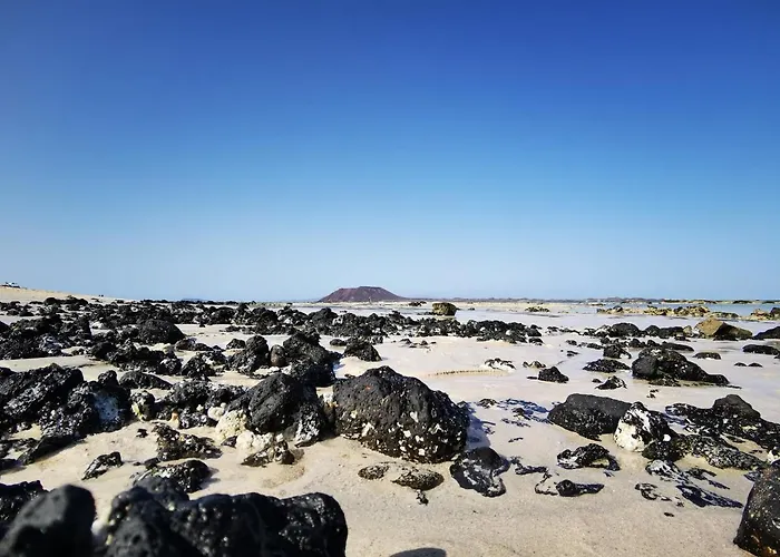 Duna Dorada *