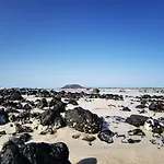 Duna Dorada *