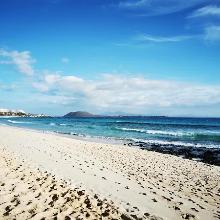 Lejlighed Duna Dorada